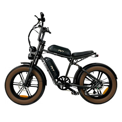 Vélo électrique PVY X20 IT - Moteur 250W Batteries 48V15AH+48V15AH Pneus de 20 Pouces Freins à Disques Hydrauliques - Noir