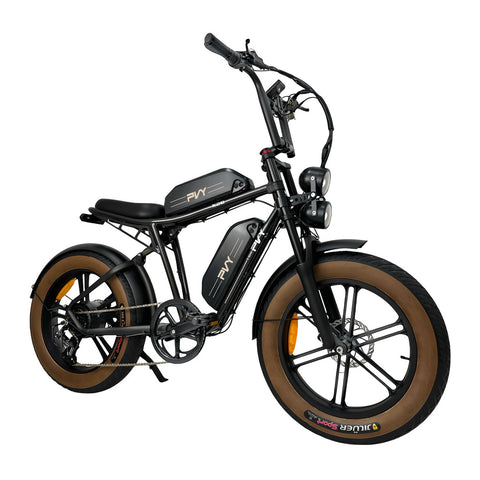Vélo électrique PVY X20 IT - Moteur 250W Batteries 48V15AH+48V15AH Pneus de 20 Pouces Freins à Disques Hydrauliques - Noir