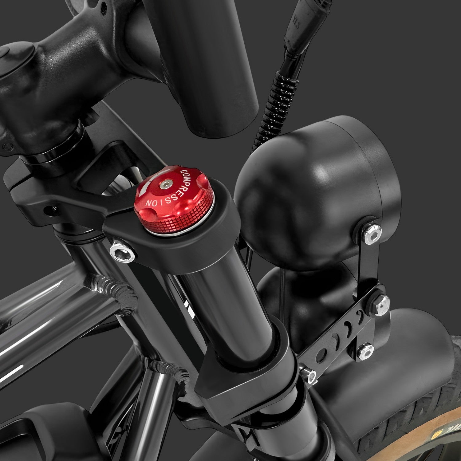 Vélo électrique PVY X20 IT - Moteur 250W Batteries 48V15AH+48V15AH Pneus de 20 Pouces Freins à Disques Hydrauliques - Noir