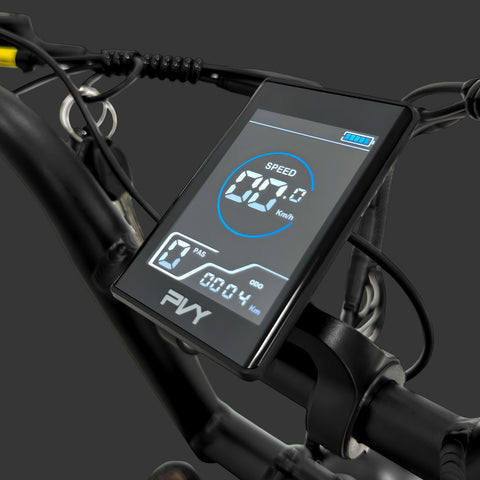 Vélo électrique PVY X20 IT - Moteur 250W Batteries 48V15AH+48V15AH Pneus de 20 Pouces Freins à Disques Hydrauliques - Noir
