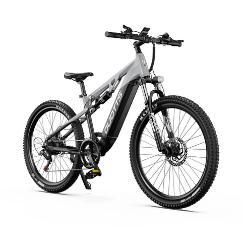 Vélo Électrique Duotts E29 - Moteur 250W Batterie 48V13.5AH Freins Hydrauliques - Blanc argenté