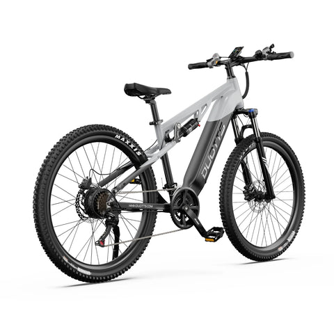 Vélo Électrique Duotts E29 - Moteur 250W Batterie 48V13.5AH Freins Hydrauliques - Blanc argenté