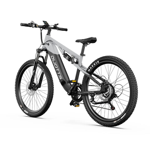 Vélo Électrique Duotts E29 - Moteur 250W Batterie 48V13.5AH Freins Hydrauliques - Blanc argenté