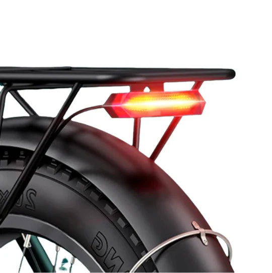 Vélo Électrique ENGWE L20 2.0 - Moteur 750W Batterie 52V13AH Pneus De 20 Pouces Freins à Disque - Orange