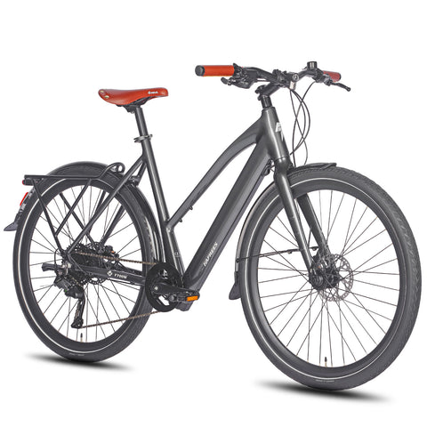 FAFREES F700W Vélo Électrique - Moteur 250W Batterie 36V10AH Freins Hydrauliques Cadre Aluminium - Noir