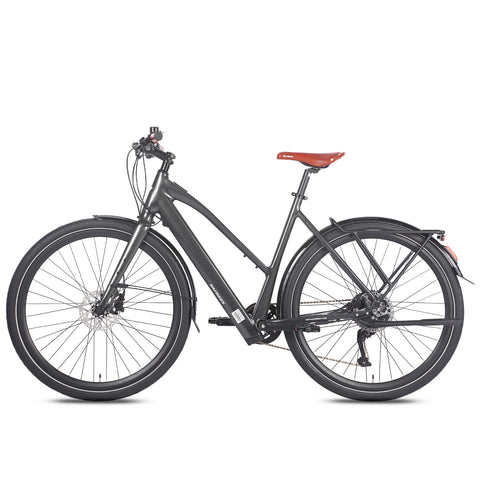 FAFREES F700W Vélo Électrique - Moteur 250W Batterie 36V10AH Freins Hydrauliques Cadre Aluminium - Noir