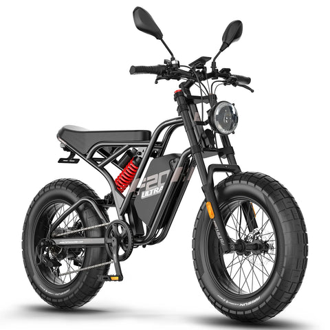 FAFREES F20 Ultra Amélioré Vélo Électrique - Moteur 750W Batterie 48V25AH Pneus 20 Pouces Freins Mécaniques - Noir