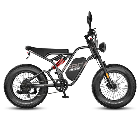 FAFREES F20 Ultra Amélioré Vélo Électrique - Moteur 750W Batterie 48V25AH Pneus 20 Pouces Freins Mécaniques - Noir