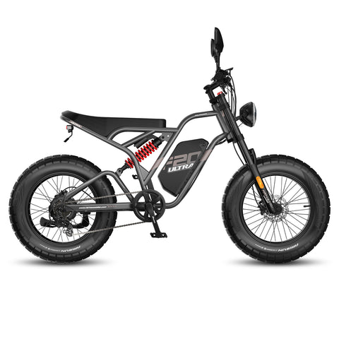 FAFREES F20 Ultra Vélo Électrique - Moteur 750W Batterie 48V25AH Freins Hydrauliques - Gris