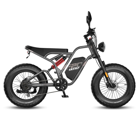 FAFREES F20 Ultra Amélioré Vélo Électrique - Moteur 750W Batterie 48V25AH Pneus 20 Pouces Freins Mécaniques - Gris
