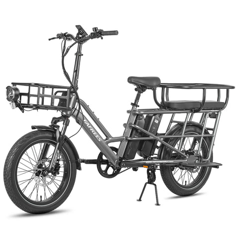 FAFREES FF20 CUV Vélo Électrique - Moteur 250W Batterie 48V24Ah 20 Pouces Pneus Freins à Disque Hydrauliques - Gris Bronze