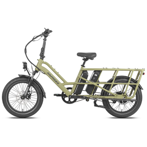 FAFREES FF20 CUV Vélo Électrique - Moteur 250W Batterie 48V24Ah 20 Pouces Pneus Freins à Disque Hydrauliques - Vert