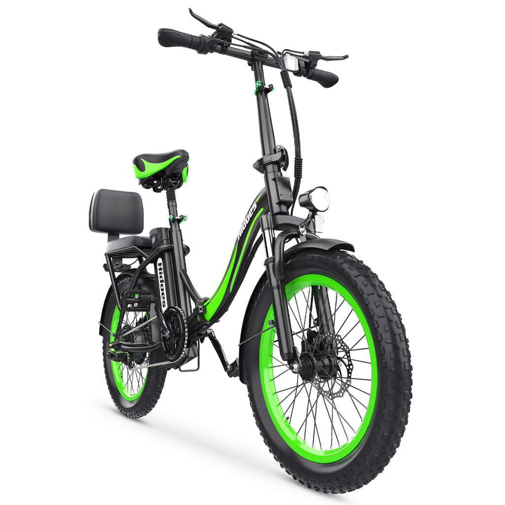 Hidoes HD-C1 Vélo Électrique - Moteur 750W Batterie 48V13AH Pneus de 20 Pouces Freins à Disque - Vert