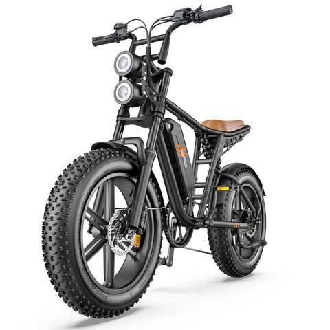Vélo Électrique HillMiles MileZoom 1 - Moteur 750W Batterie 52V31.2AH Pneus De 20 Pouces Frein à Huile Hydraulique - Noir