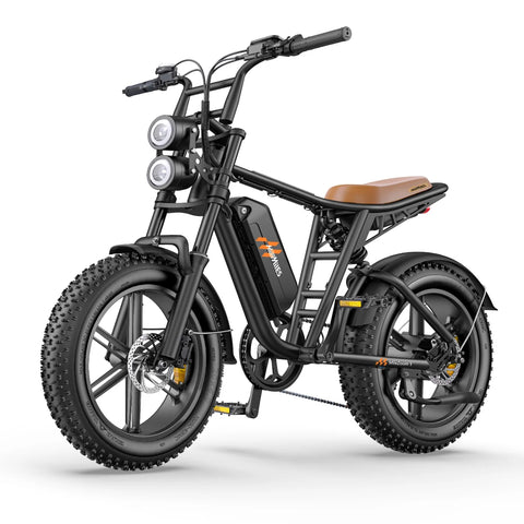 Vélo Électrique HillMiles MileZoom 1 - Moteur 750W Batterie 52V31.2AH Pneus De 20 Pouces Frein à Huile Hydraulique - Noir