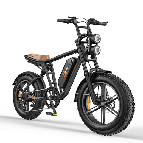 Vélo Électrique HillMiles MileZoom 1 - Moteur 750W Batterie 52V31.2AH Pneus De 20 Pouces Frein à Huile Hydraulique - Noir