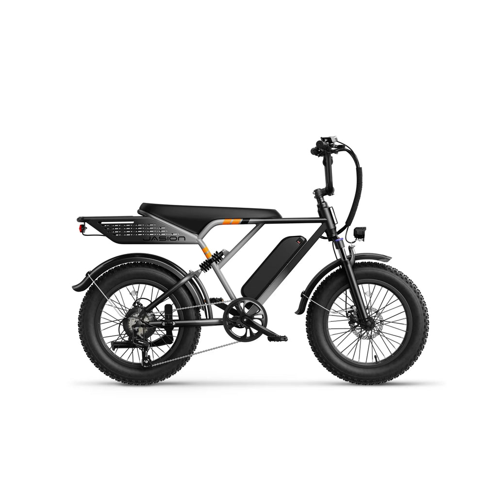 JASION RetroVolt Vélo Électrique - 500W Batterie 48V12.5Ah Pneus 20 Pouces Freins à Disque - Dégradé argenté