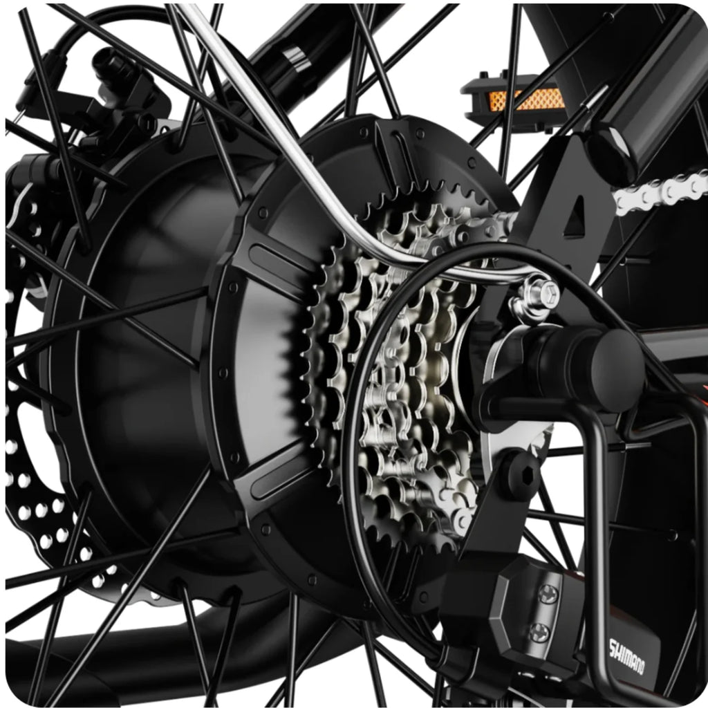 JASION RetroVolt Vélo Électrique - 500W Batterie 48V12.5Ah Pneus 20 Pouces Freins à Disque - Dégradé argenté