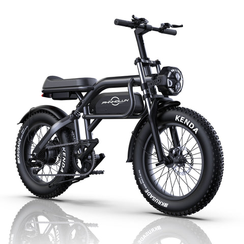 Vélo Électrique PHNHOLUN C8 FT - Moteur 1000W Batterie 48V20AH Pneus de 20 Pouces Frein à Disque - Noir