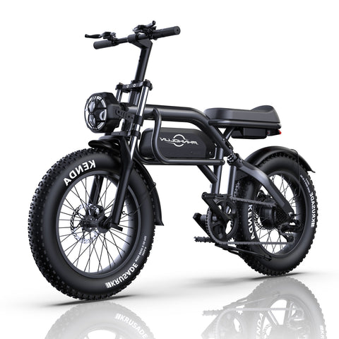 Vélo Électrique PHNHOLUN C8 FT - Moteur 1000W Batterie 48V20AH Pneus de 20 Pouces Frein à Disque - Noir
