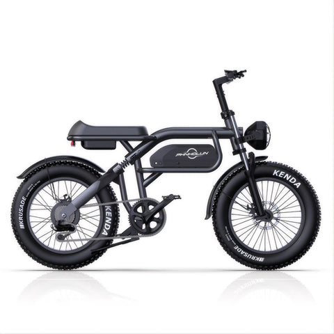 Vélo Électrique PHNHOLUN C8 FT - Moteur 1000W Batterie 48V20AH Pneus de 20 Pouces Frein à Disque - Noir