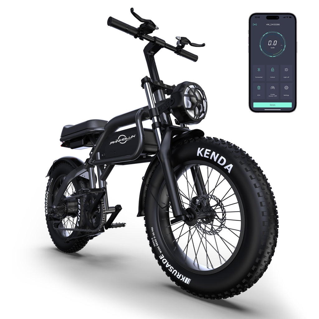 Vélo Électrique PHNHOLUN C8 FT - Moteur 1000W Batterie 48V20AH Pneus de 20 Pouces Frein à Disque - Noir