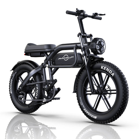 Vélo Électrique PHNHOLUN C8 IT - Moteur 1000W Batterie 48V20AH Pneus de 20 Pouces Frein à Disque - Noir