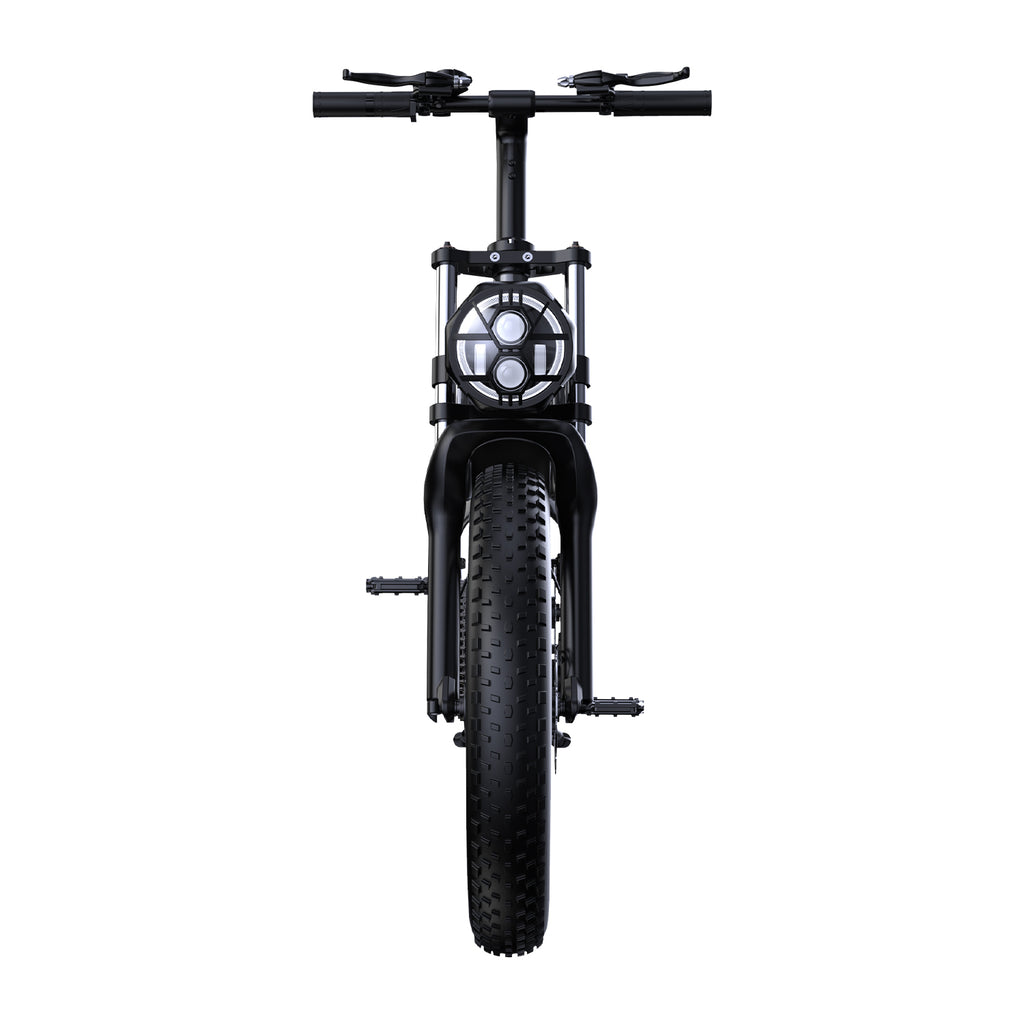 Vélo Électrique PHNHOLUN C8 IT - Moteur 1000W Batterie 48V20AH Pneus de 20 Pouces Frein à Disque - Noir