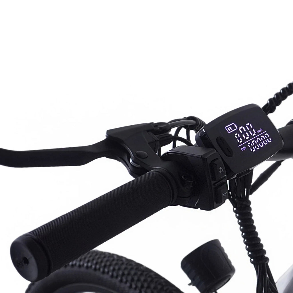 PVY M29 Vélo Électrique - Moteur 250W Batterie 48V17.5AH Pneus 29" Freins à Disque Mécaniques - Blanc