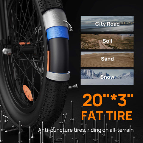 Vélo Électrique URLIFE E20 - Moteur 250W Batterie 48V 13Ah Pneus De 20 Pouces  Freins à Disque - Noir