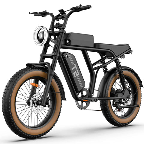 URLIFE T2 Vélo Électrique - Moteur 250W Batterie 48V 15.6Ah Pédalier assisté Freins à disque - Marron
