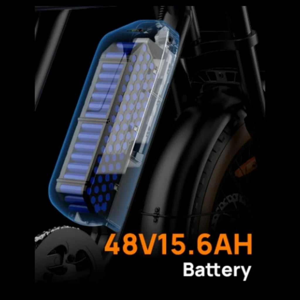 URLIFE T2 Vélo Électrique - Moteur 250W Batterie 48V 15.6Ah Pédalier assisté Freins à disque - Marron