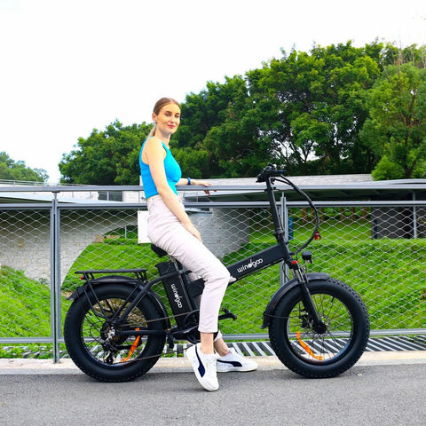 Windgoo F21 Pro Vélo Électrique - Moteur 250W Batterie 48V 12.5Ah 20x4.0 Pouces Pneus - Noir