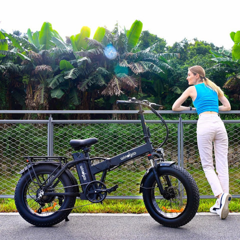 Windgoo F21 Pro Vélo Électrique - Moteur 250W Batterie 48V 12.5Ah 20x4.0 Pouces Pneus - Noir