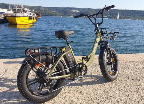 Vélo Électrique ENGWE L20 : Puissance 250W, Batterie 624Wh | Autonomie 60KM
