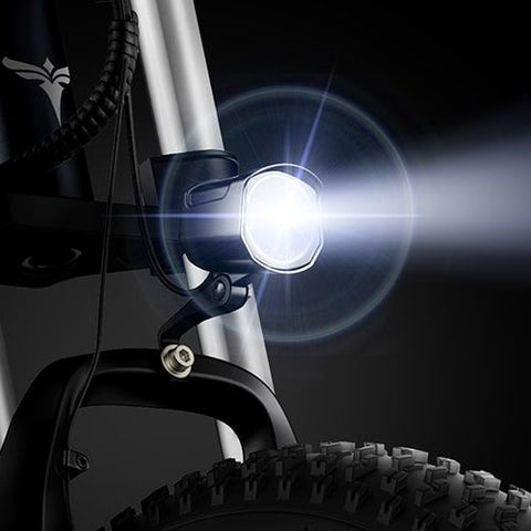 Vélo Électrique ENGWE X20 : Puissance 750W, Batterie 1065.6Wh | Autonomie 70KM