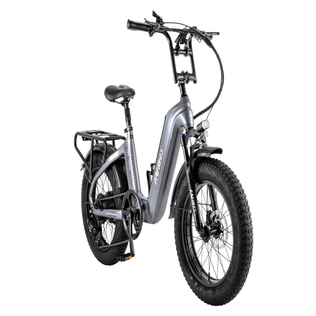 Vélo Électrique FAFREES F20 Master - Moteur 500W Batterie 1080WH Autonomie 110KM - Gris bronze