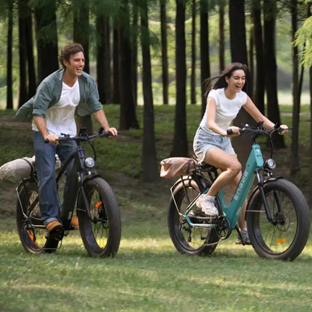 Vélo Électrique ENGWE E26 - 250W 768WH Autonomie 140KM Freins à Disque - Gris