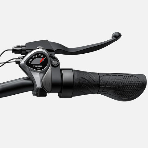 Vélo Électrique ENGWE E26 Step-thru - 250W 768WH Autonomie 140KM Freins à Disque - Gris