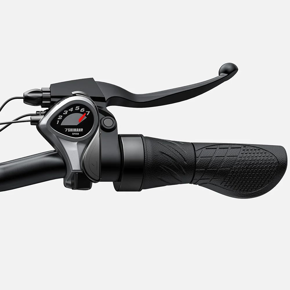 Vélo Électrique ENGWE E26 - 250W 768WH Autonomie 140KM Freins à Disque - Jaune