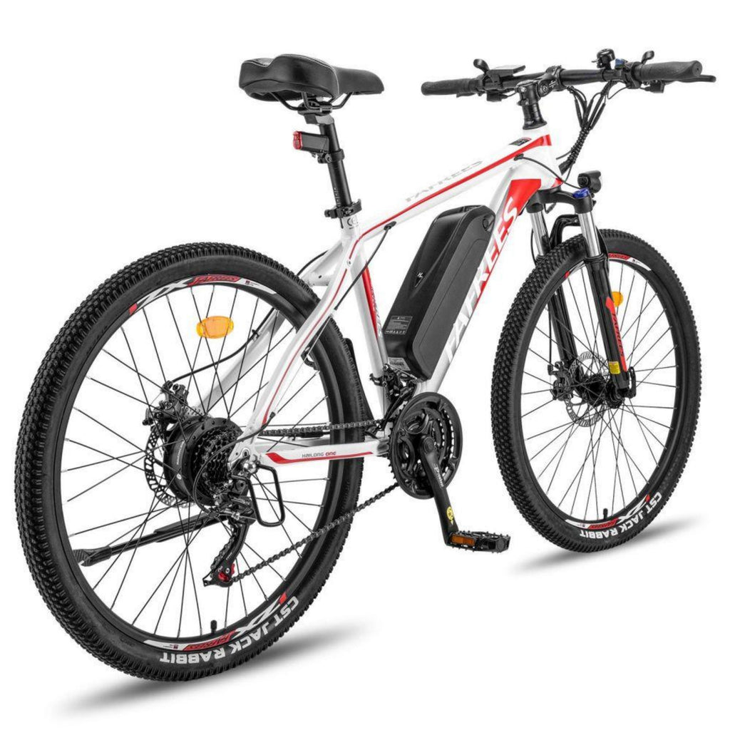 Vélo Électrique FAFREES Hailong One - Moteur 250W Batterie 360WH Autonomie 40KM - Blanc