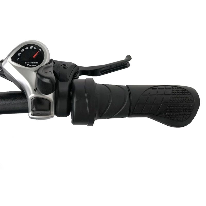 Vélo Électrique PVY P26 - Moteur 250W Batterie 48V11.6AH Freins à Disque Hydrauliques 100KM Autonomie - Gris