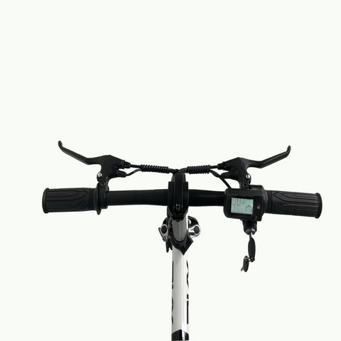 Vélo Électrique PVY S2 - Moteur 250W Batterie 36V7.5AH Freins à Disque Mécaniques 60KM Autonomie - Noir et blanc