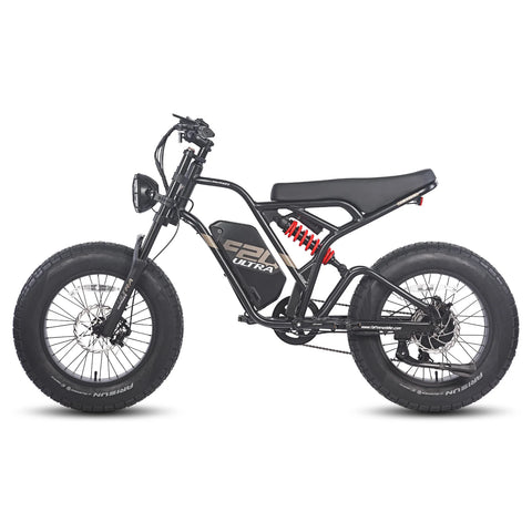 Vélo électrique FAFREES F20 Ultra - Moteur 750W Batterie 48V25AH Assisted Autonomie 140KM Frein à Disque Mécanique - Noir Rouge