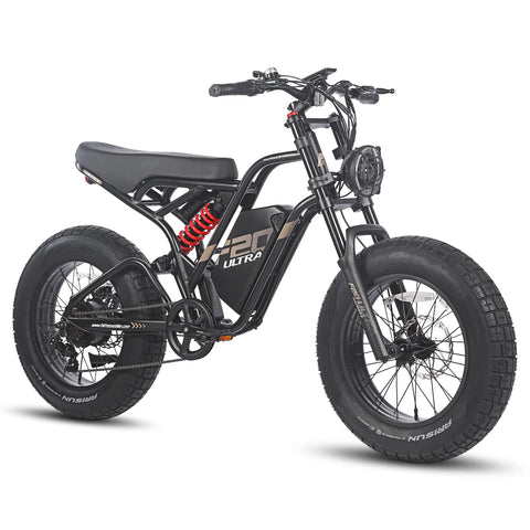 Vélo électrique FAFREES F20 Ultra - Moteur 750W Batterie 48V25AH Assisted Autonomie 140KM Frein à Disque Mécanique - Noir Rouge