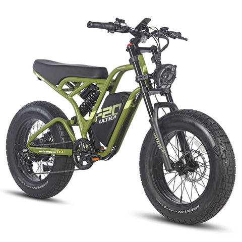 Vélo électrique FAFREES F20 Ultra - Moteur 750W Batterie 48V25AH Assisted Autonomie 140KM Frein à Disque Mécanique - Noir Vert