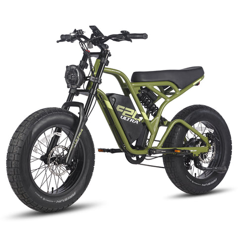 Vélo électrique FAFREES F20 Ultra - Moteur 750W Batterie 48V25AH Assisted Autonomie 140KM Frein à Disque Mécanique - Noir Vert