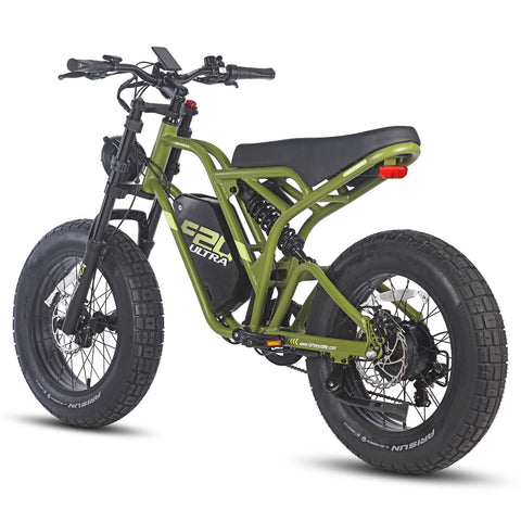 Vélo électrique FAFREES F20 Ultra - Moteur 750W Batterie 48V25AH Assisted Autonomie 140KM Frein à Disque Mécanique - Noir Vert