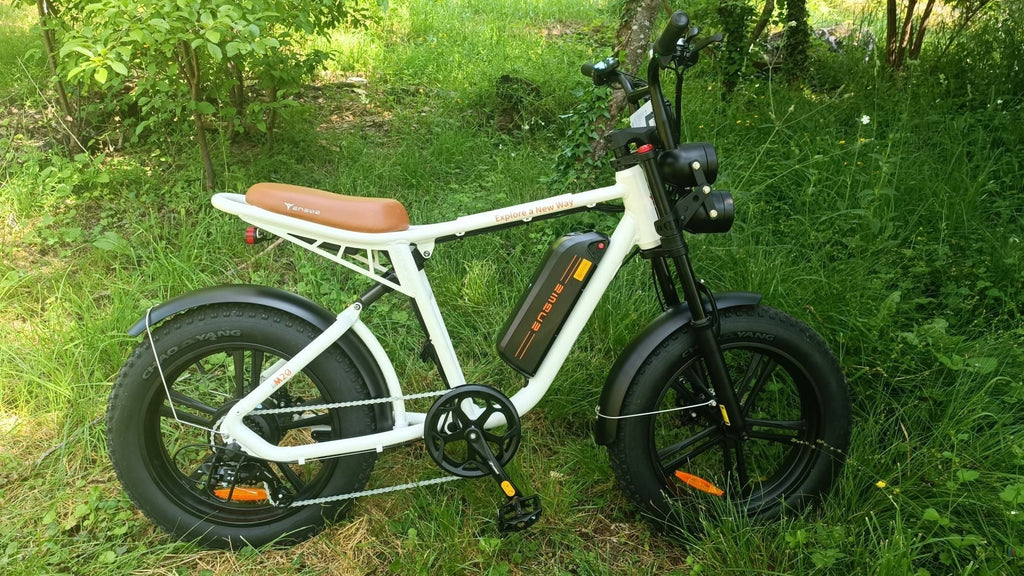 Vélo électrique ENGWE M20 750W - Autonomie 60KM - Freins à disque