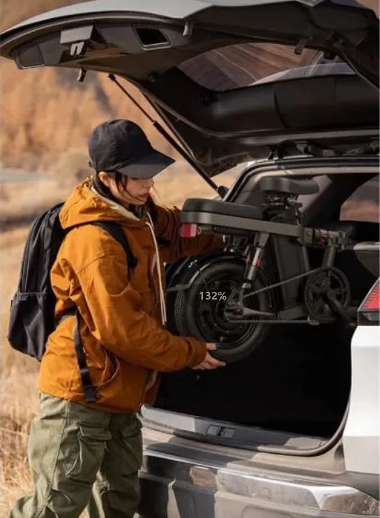 Vélo électrique ENGWE T14 EU 250W - Autonomie 45KM - Freins à disque